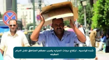شدة قياسية.. ارتفاع درجات الحرارة يضرب معظم المناطق خلال الأيام المقبلة